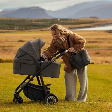 Lionelo - Kombinierter Kinderwagen 2-in-1 AMBER PLUS Grau Graphit
