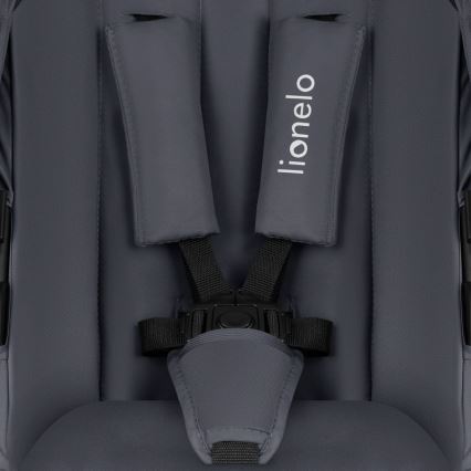 Lionelo - Passeggino combinato 2 in 1 AMBER PLUS Grigio Grafite