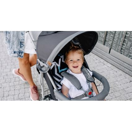 Lionelo - Passeggino ELIA grigio