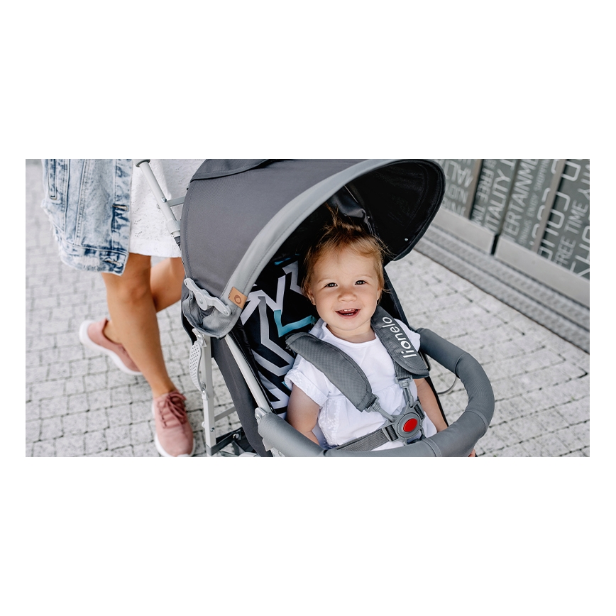 Lionelo - Passeggino ELIA grigio