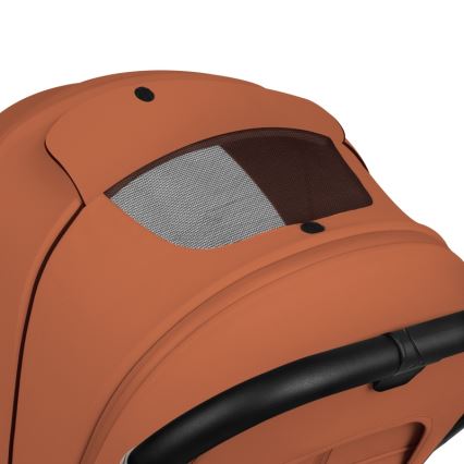 Lionelo - Poussette combinée 2-en-1 MIKA PLUS Brun rouille