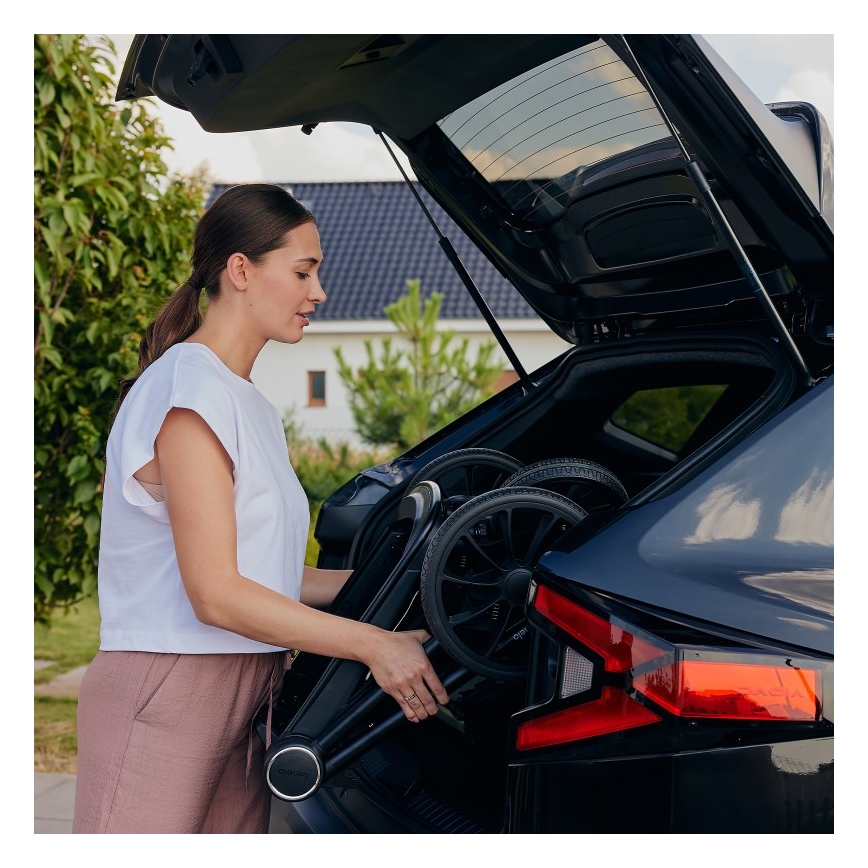 Lionelo - Poussette combinée 2-en-1 MIKA PLUS Gris pierre