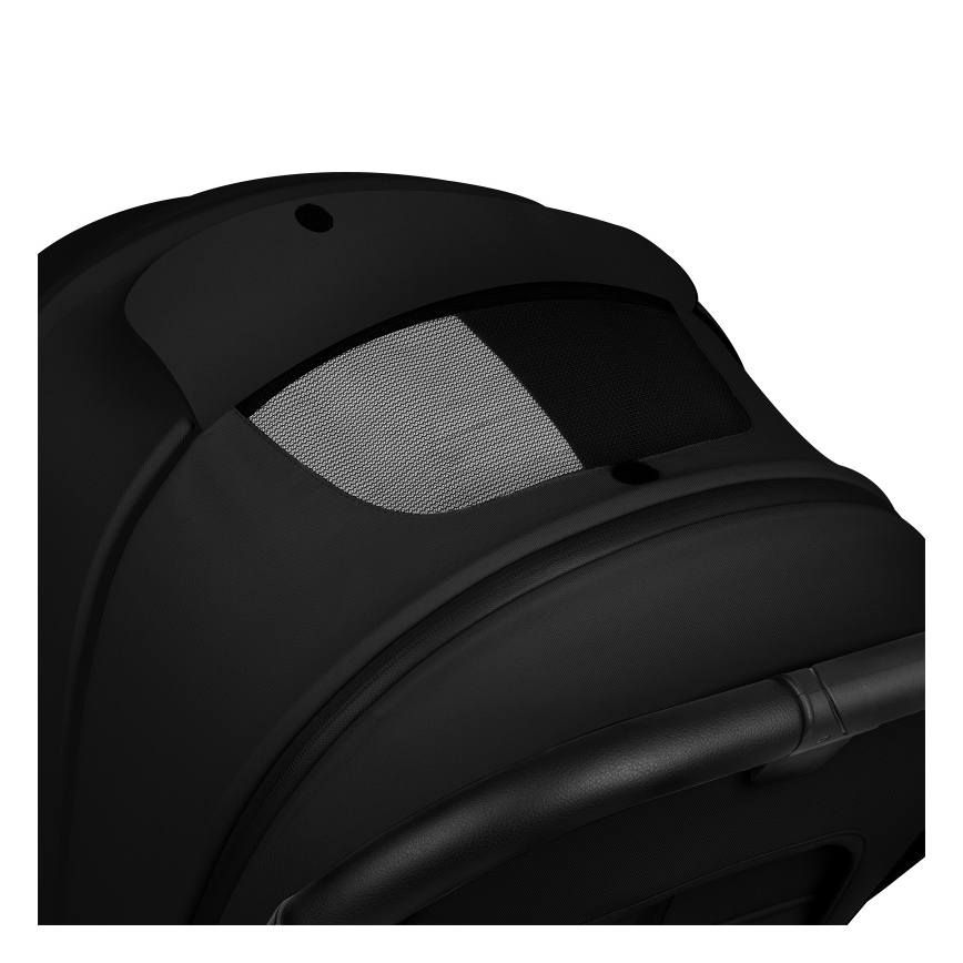 Lionelo - Poussette combinée 2-en-1 MIKA PLUS Noir Onyx