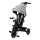 Lionelo - Tricycle pour enfant BERRY Grey Stone
