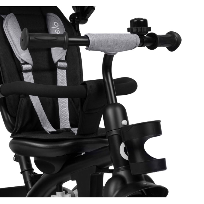Lionelo - Tricycle pour enfant BERRY Grey Stone