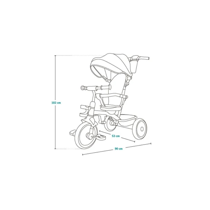 Lionelo - Tricycle pour enfant BERRY Grey Stone