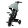 Lionelo - Tricycle pour enfants BERRY Green Forest