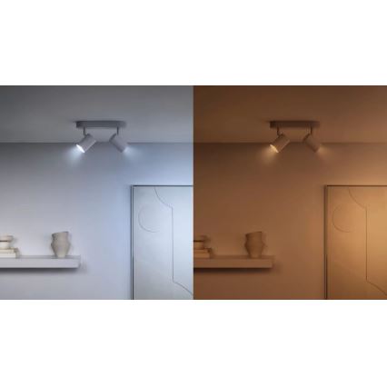 LOT 3x Ampoule à intensité variable LED RGBW PAR16 GU10/4,7W/230V 2200-6500K Wi-Fi - WiZ