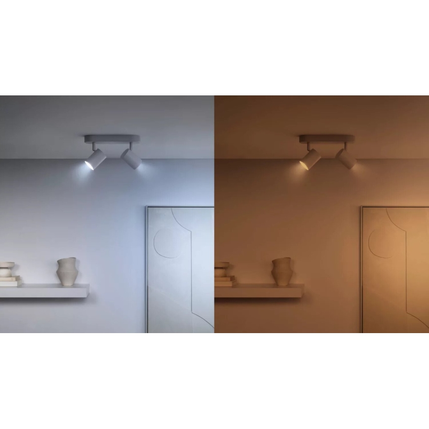 LOT 3x Ampoule à intensité variable LED RGBW PAR16 GU10/4,7W/230V 2200-6500K Wi-Fi - WiZ
