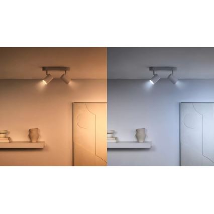 LOT 3x Ampoule à intensité variable LED RGBW PAR16 GU10/4,7W/230V 2200-6500K Wi-Fi - WiZ