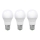 LOT 3x Ampoule LED ECOLINE A60 E27/15W/230V 6500K - Brilagi