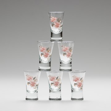 Lot 6x verre à liqueur avec un motif de bouquet n° 2