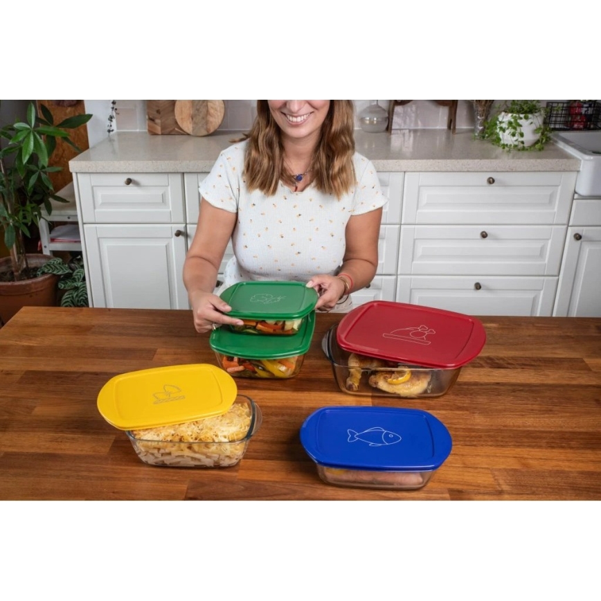 Lot de 2 boîtes alimentaires en verre PYREX 1,2/2,5 l