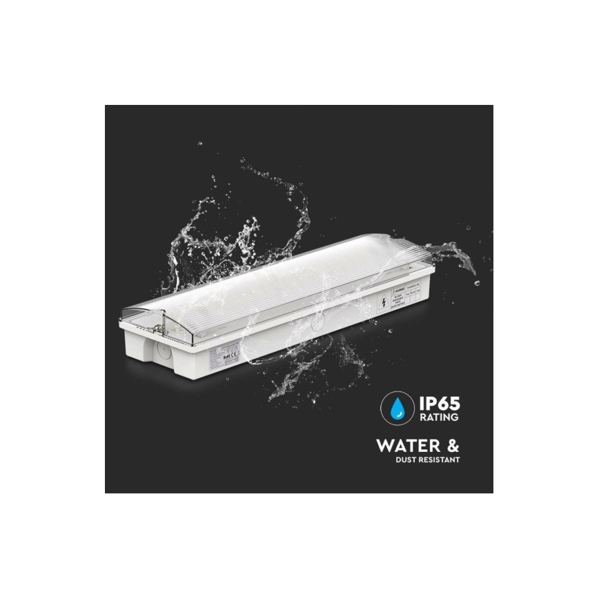 Luce di emergenza a LED EMERGENCY EXIT LED/3W/230V 6400K IP65