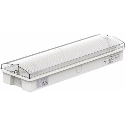 Luce di emergenza a LED con un normale test di funzionalità EMERGENCY EXIT LED/3W/230V 6400K IP65