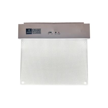 Luce di emergenza a LED LED/2W/230V 6000K