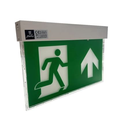 Luce di emergenza a LED LED/2W/230V 6000K