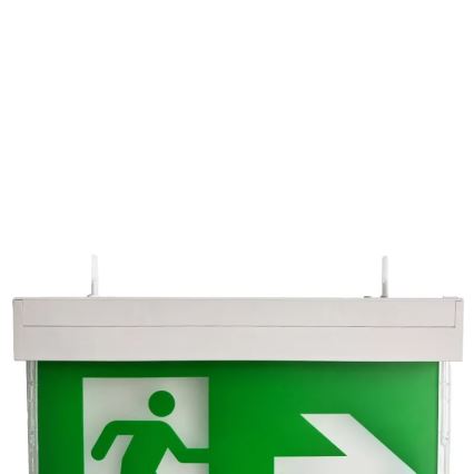 Luce di emergenza a LED LED/2W/230V 6000K
