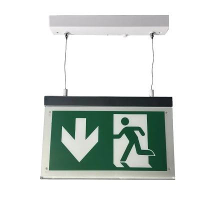 Luce di emergenza a LED LED/4W/230V 6000K