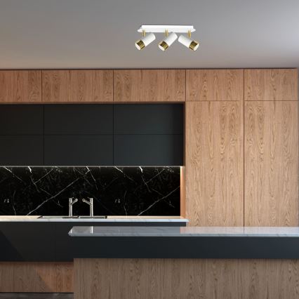Luce Spot da parete a LED DANI 3xGU10/8W/230V