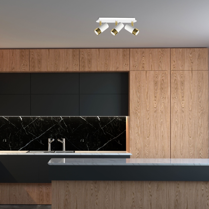 Luce Spot da parete a LED DANI 3xGU10/8W/230V