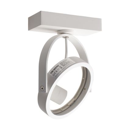 Luce Spot da parete a LED LUGAR 1xAR111 - GU10/25W/230V