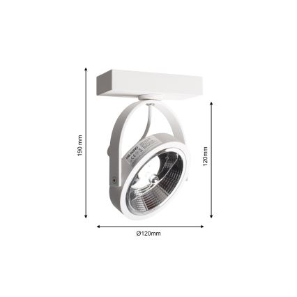 Luce Spot da parete a LED LUGAR 1xAR111 - GU10/25W/230V