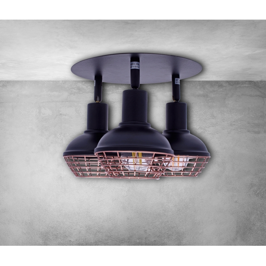 Luce Spot LOGAN 3xE14/40W/230V