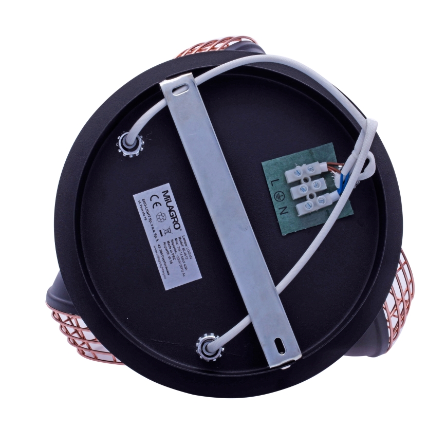 Luce Spot LOGAN 3xE14/40W/230V