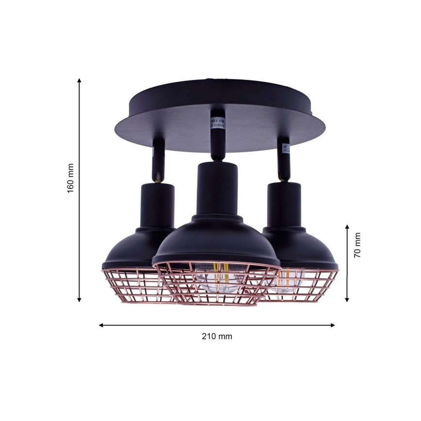 Luce Spot LOGAN 3xE14/40W/230V