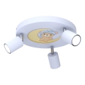 Luce Spot per bambini FUN 3xGU10/8W/230V blu/orsacchiotto