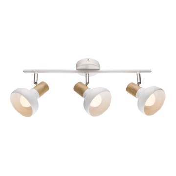 Luce Spot PUERTO 3xE14/40W/230V