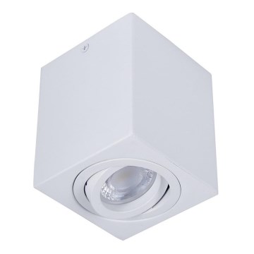 Luce Spot SIN 1xGU10/50W/230V bianco