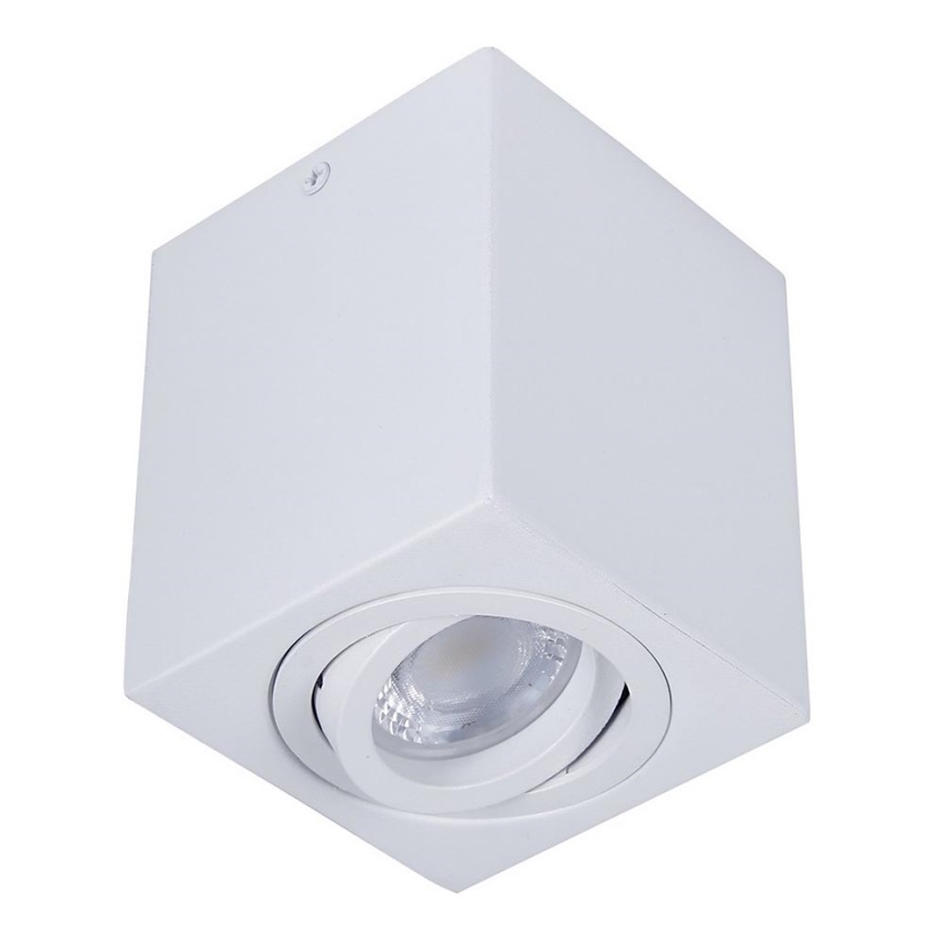 Luce Spot SIN 1xGU10/50W/230V bianco