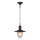 Lucide 11872/01/97 - Lampada a sospensione da esterno ARUBA 1xE27/60W/230V