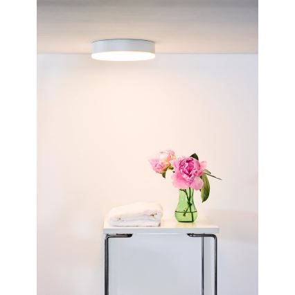 Lucide 28112/30/31 - Dimmbare LED-Leuchte für Badezimmer 2-in-1 CERES 30W/230V IP44 weiß