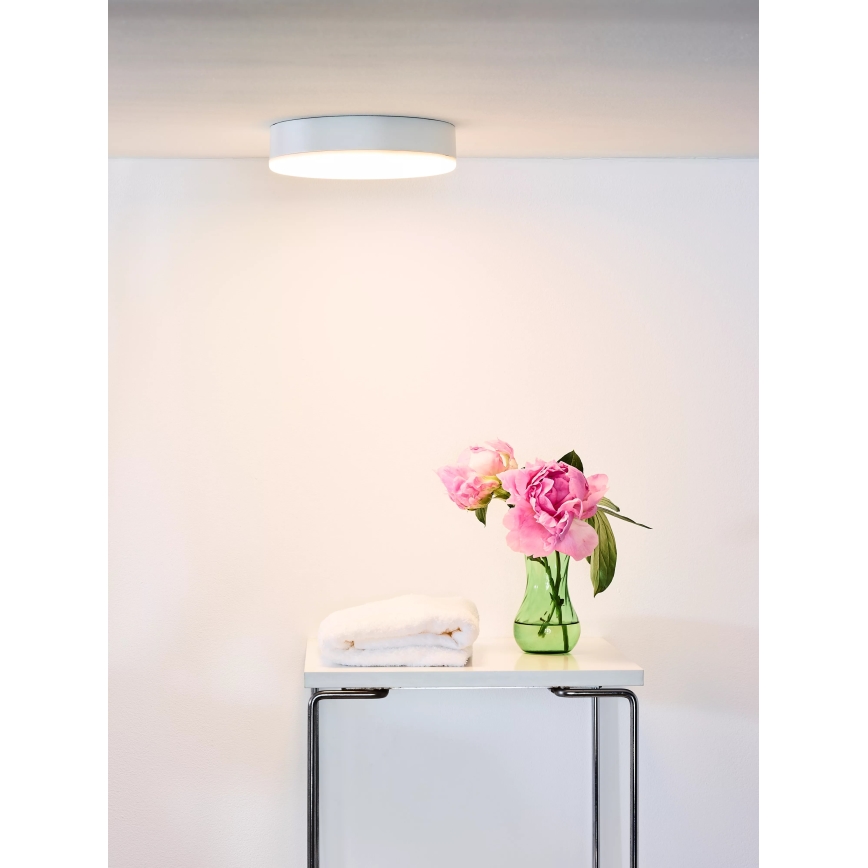 Lucide 28112/30/31 - Lampada LED dimmerabile da bagno 2in1 CERES 30W/230V IP44 bianco