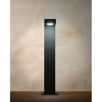 Lucide 28851/40/30 - LED-Außenleuchte TEXAS LED/8W/230V schwarz 40 cm IP54