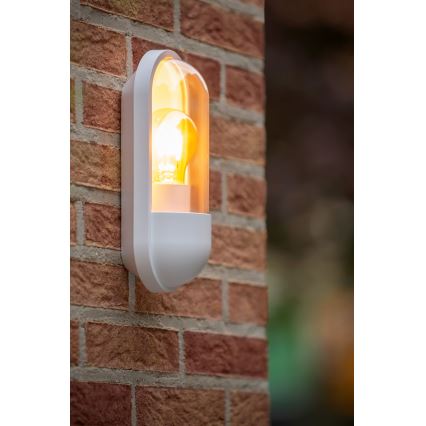 Lucide 29897/01/31 - Applique murale extérieure CAPSULE 1xE27/15W/230V IP54
