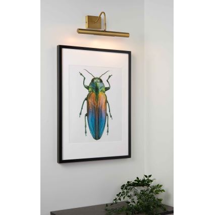 Lucide 45299/02/02 - Lampada da quadro VINZ 2xG9/28W/230V oro