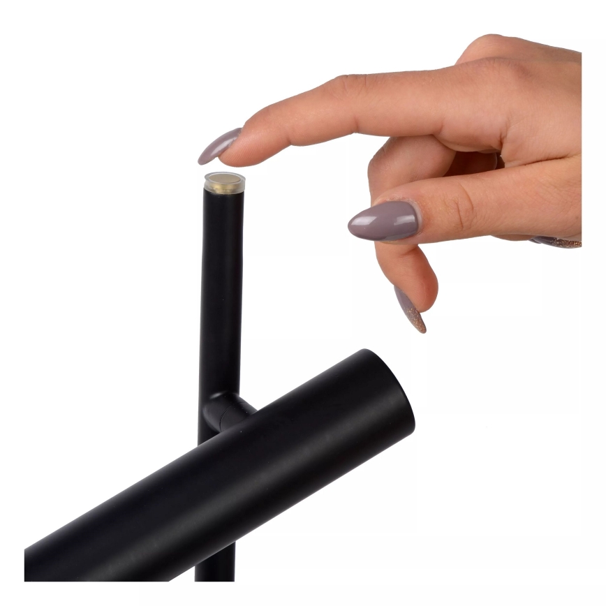 Lucide 79781/10/30 – Lampada da terra LED dimmerabile PHILON 2xLED/4,5W/230V