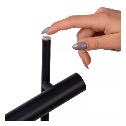 Lucide 79781/10/30 – Lampadaire LED à intensité variable PHILON 2xLED/4,5W/230V