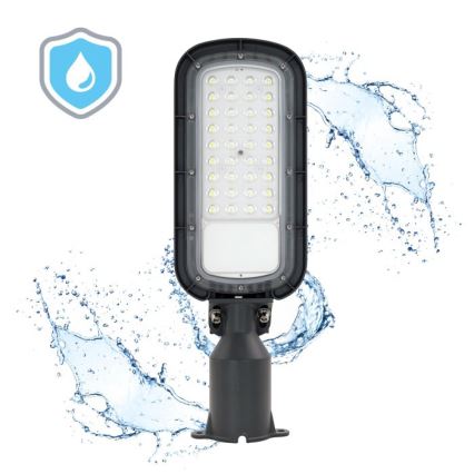 Luminaire de voirie LED BRELUXO LED/50W/230V 4000K IP65
