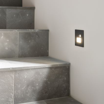 Luminaire LED pour escalier avec capteur de mouvement et capteur crépusculaire LED/1,5W/230V 3000/4000/6000K anthracite