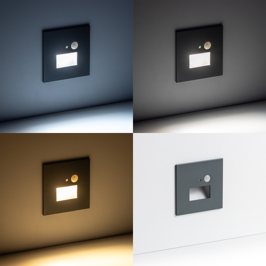 Luminaire LED pour escalier avec capteur de mouvement et capteur crépusculaire LED/1,5W/230V 3000/4000/6000K anthracite