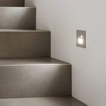 Luminaire d'escalier LED avec capteur de mouvement et capteur crépusculaire LED/1,5W/230V 3000/4000/6000K gris