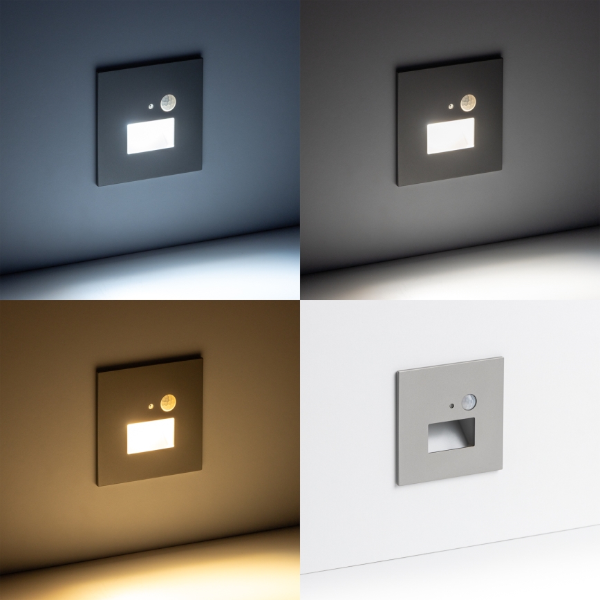 Luminaire d'escalier LED avec capteur de mouvement et capteur crépusculaire LED/1,5W/230V 3000/4000/6000K gris