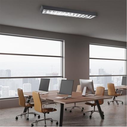 Luminaire fluorescente T8 2xG13/18W/230V 120 cm noir