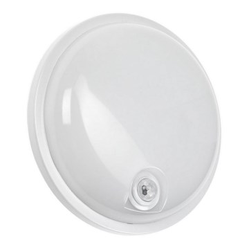 Luminaire industriel avec détecteur infrarouge passif LED/20W/230V IP54