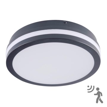 Luminaire LED extérieur avec capteur BENO LED/18W/230V 4000K anthracite IP54